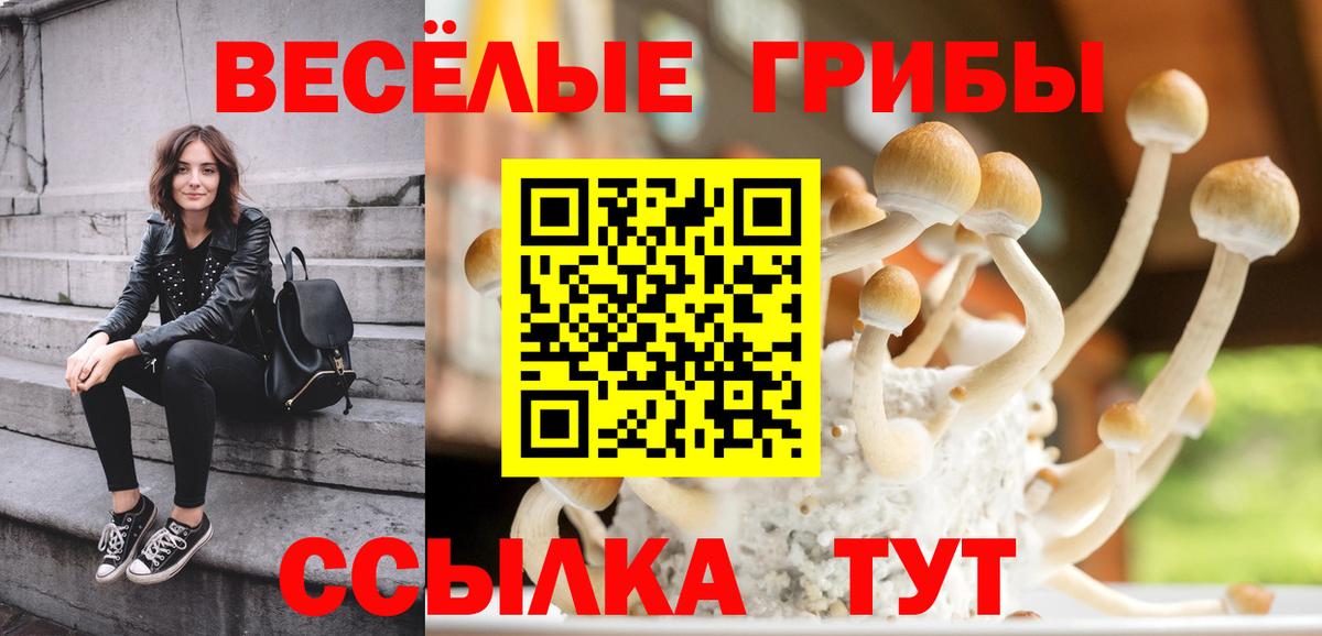 Канаш  Галлюциногенные грибы мухоморы  Галлюциногенные грибы Magic Shrooms  Вход с VPN 