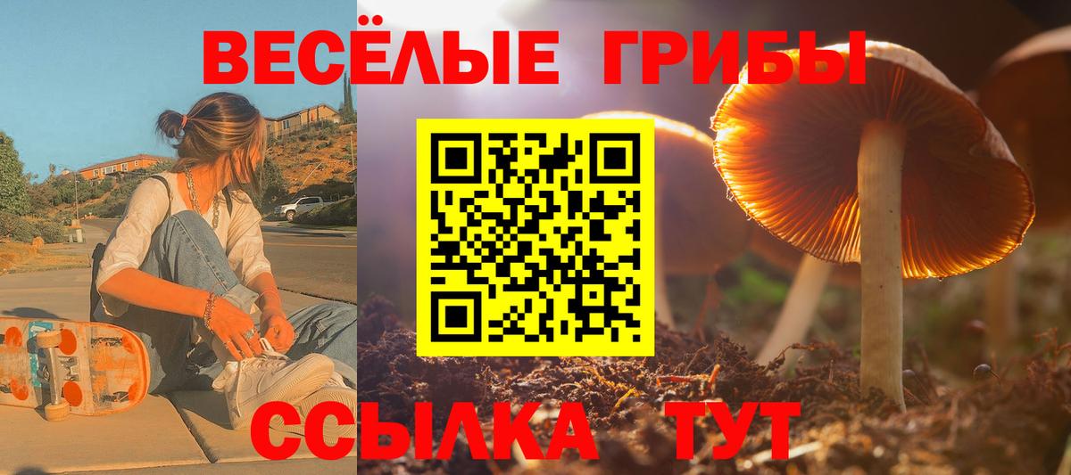 Галлюциногенные грибы мицелий Канаш